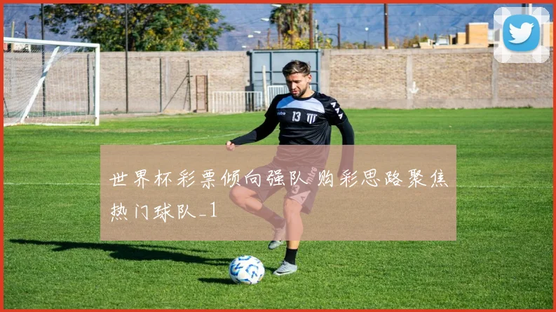 世界杯彩票倾向强队 购彩思路聚焦热门球队_1