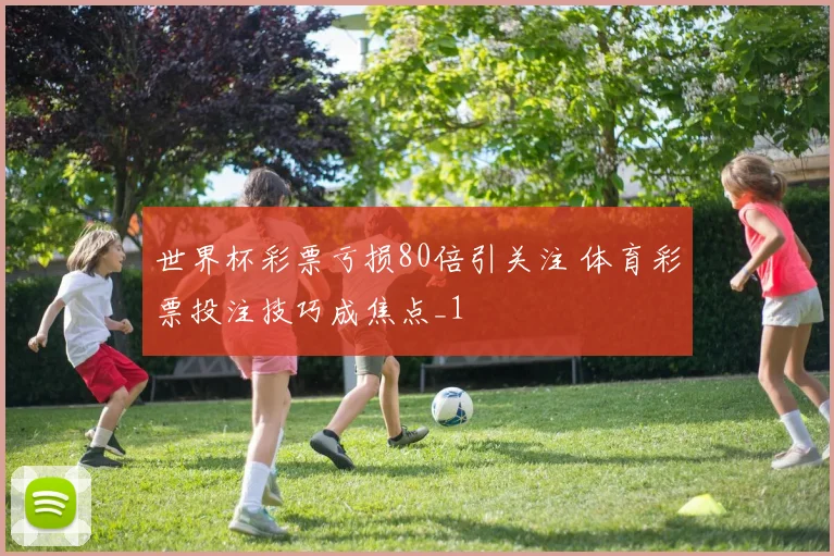 世界杯彩票亏损80倍引关注 体育彩票投注技巧成焦点_1
