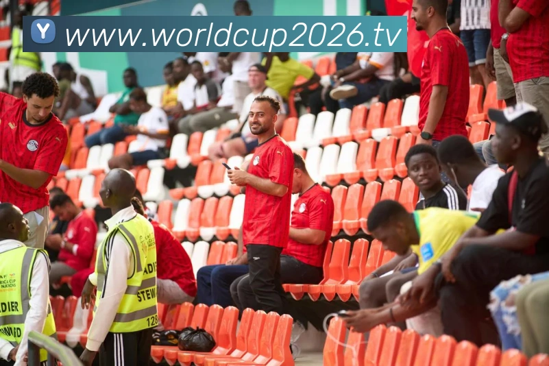 世界杯官网线上平台发展历程